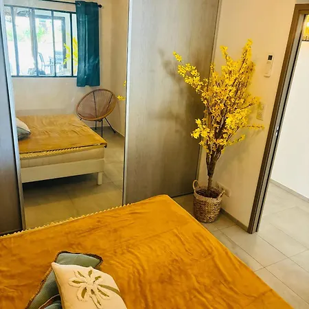 Appartement Moderne à De 45 M² Avec Terrasse Vue *